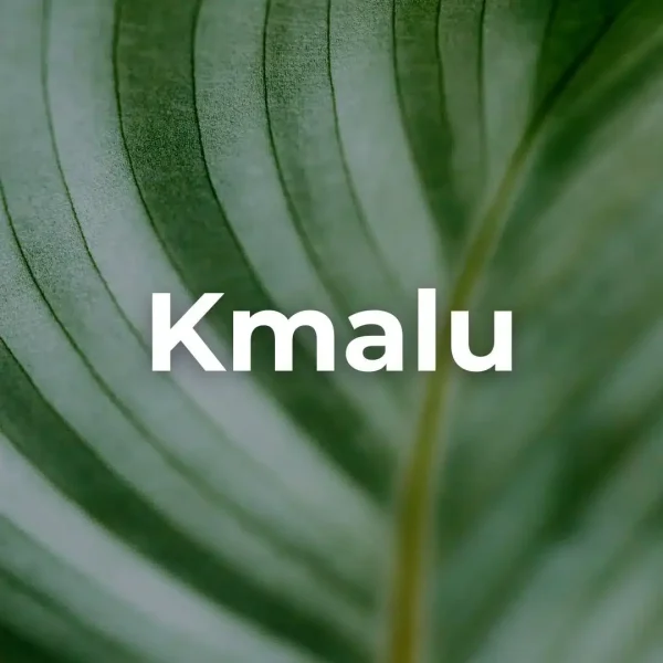 Aleksandra Komasz Plus 17 Stres Reset Plus