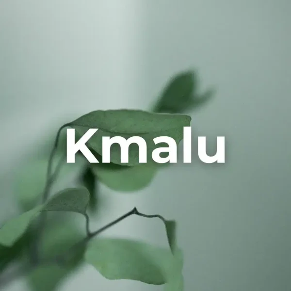 Aleksandra Komasz Plus 14 Mirno spanje Plus