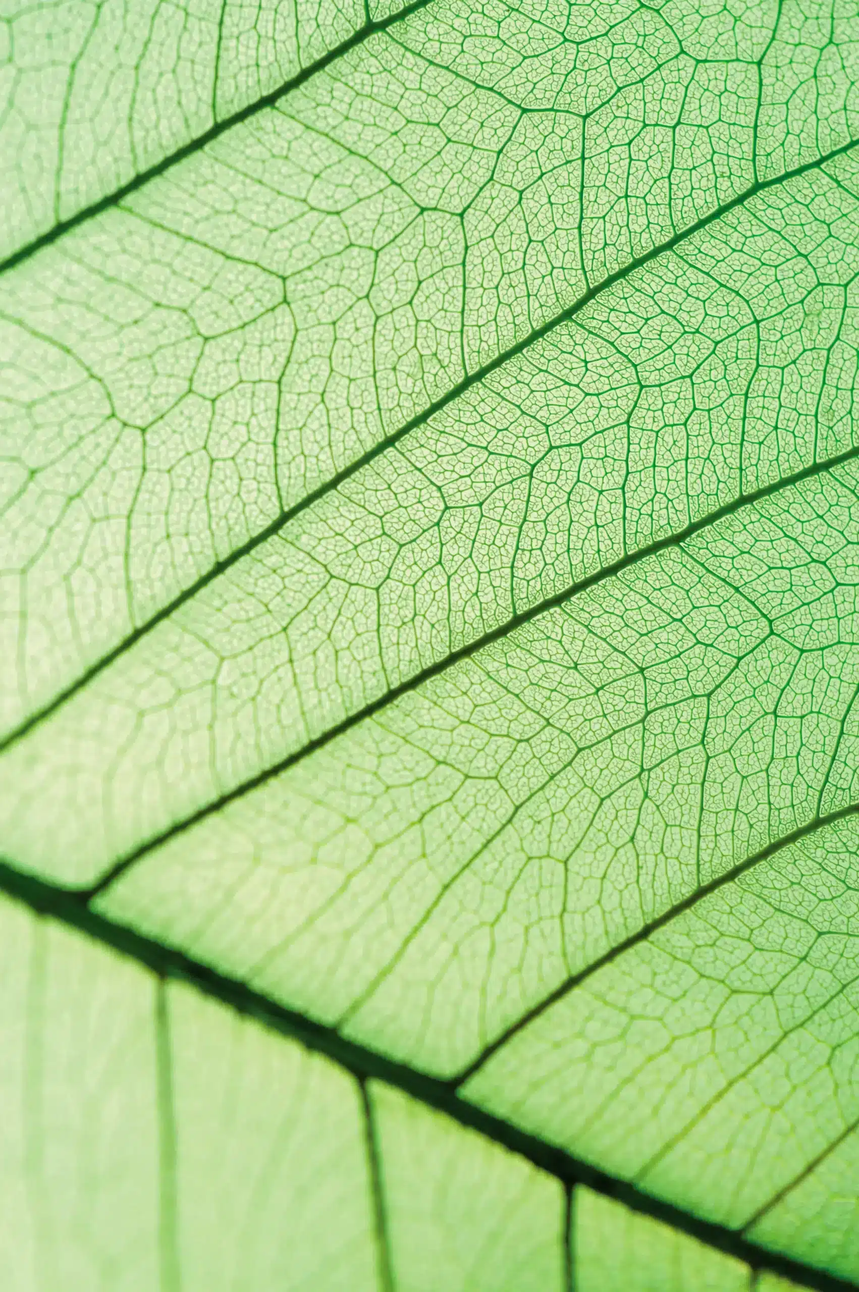 About us 6 Quality1 scaled